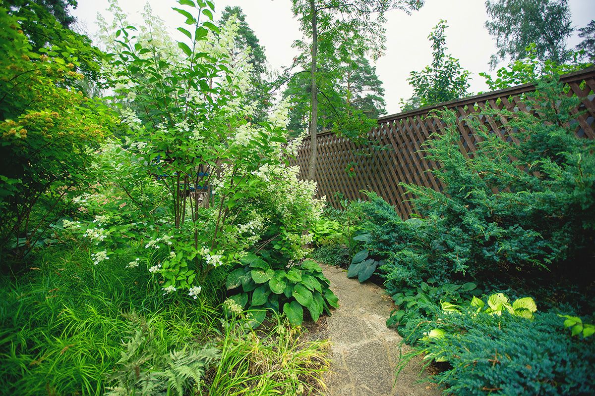 Проект Переделкино